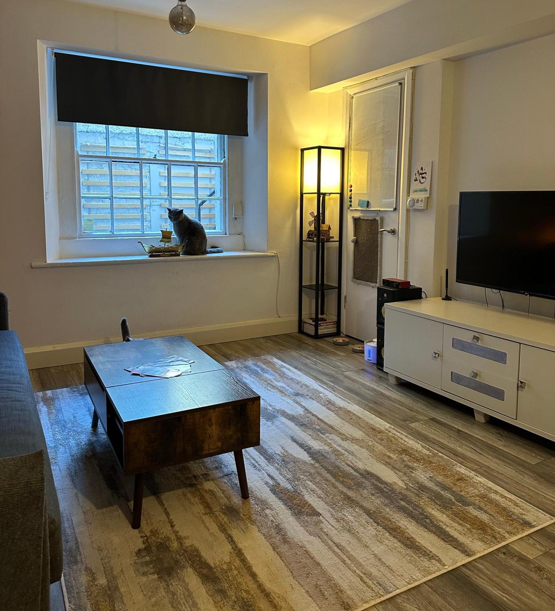 Entire Apartment In Dublin Exterior foto