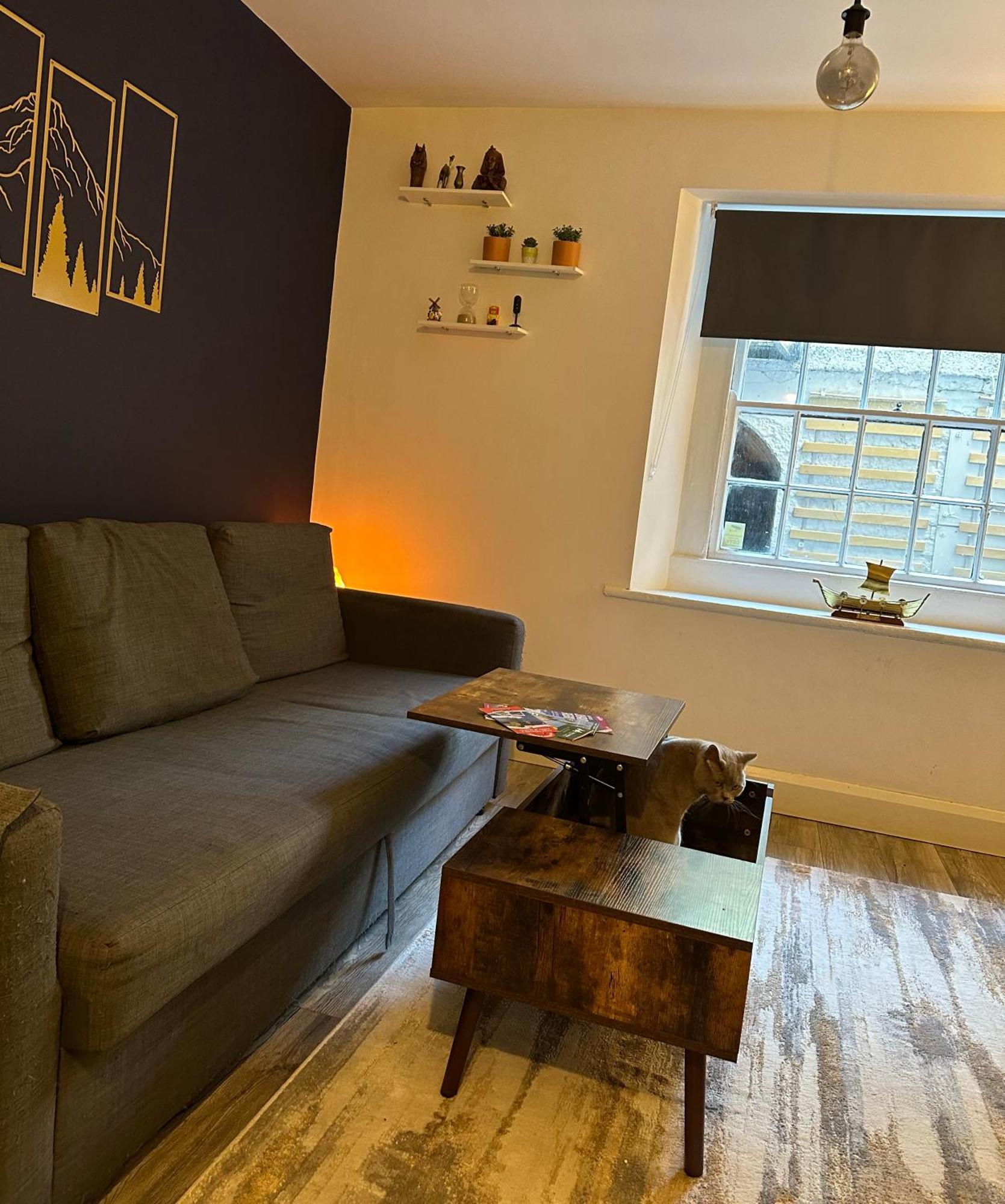 Entire Apartment In Dublin Exterior foto
